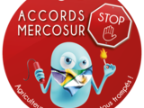 Sticker_mercosur